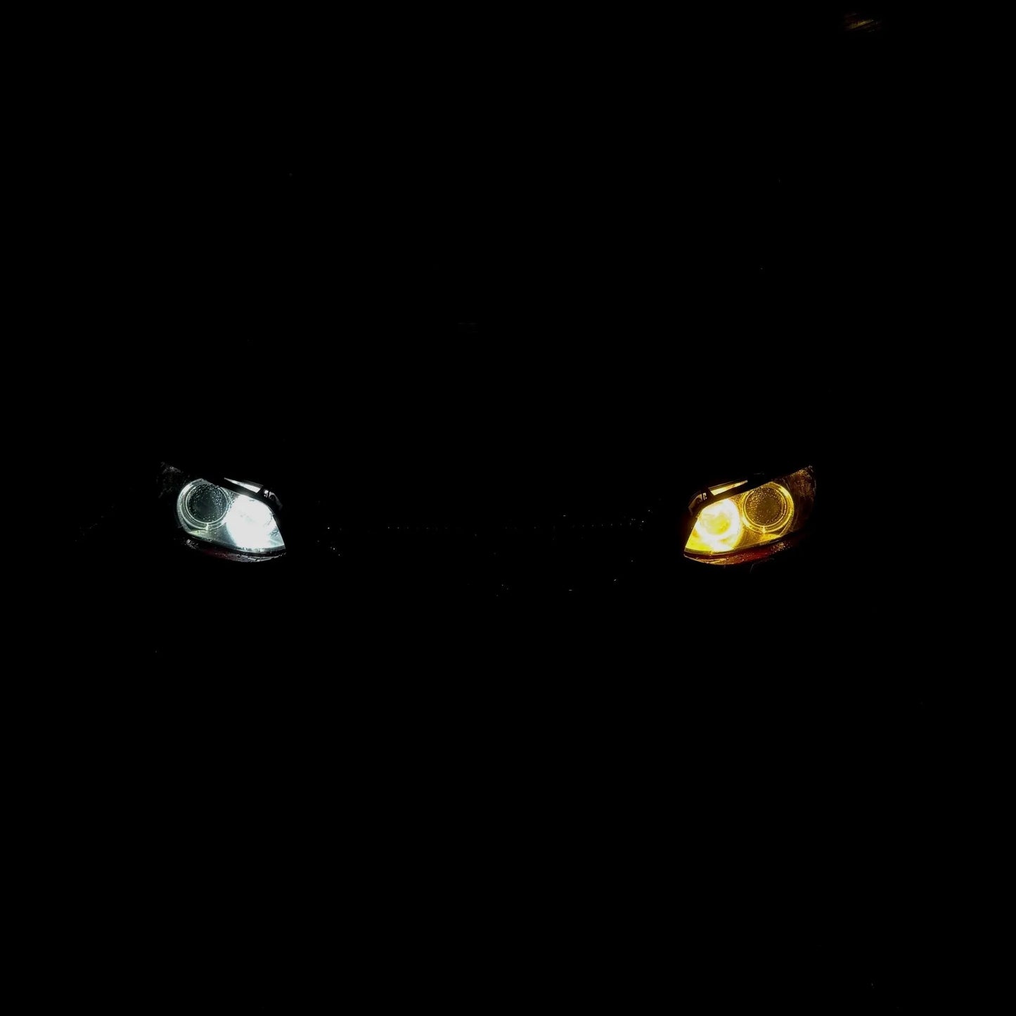 BMW H8 Angel Eyes Lampen